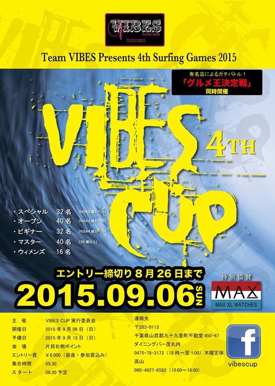 vibes_cup_2015.jpg